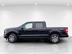 2023 Ford F-150 SuperCrew Cab 4x2 Pickup for sale #P99364 - photo 7