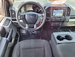 2019 Ford F-150 SuperCrew Cab 4x2 Pickup for sale #P99507 - photo 14
