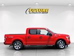 2019 Ford F-150 SuperCrew Cab 4x2 Pickup for sale #P99507 - photo 4