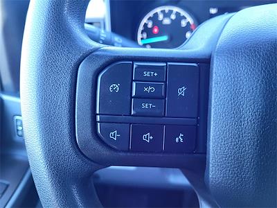2024 Ford F-250 Crew Cab 4WD Pickup for sale #R100149 - photo 2