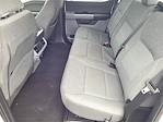 2024 Ford F-150 SuperCrew Cab 4WD Pickup for sale #R100243 - photo 16