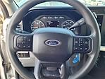 Used 2024 Ford F-250 XLT Crew Cab for sale #R100245 - photo 3