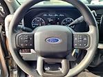 2024 Ford F-250 Crew Cab 4WD Pickup for sale #R100246 - photo 3