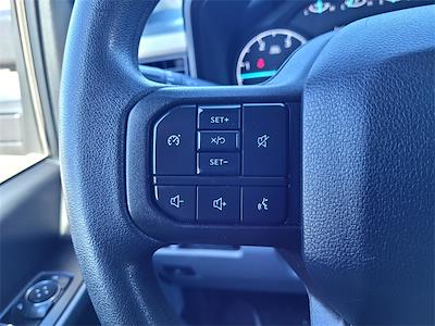 Used 2024 Ford F-250 - photo 1
