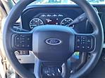 2024 Ford F-250 Crew Cab 4WD Pickup for sale #R100293 - photo 3