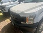 2019 Ford F-150 Regular Cab RWD Pickup for sale #R99729Z - photo 1