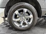 2023 Ford F-150 SuperCrew Cab 4WD Pickup for sale #5586U - photo 10