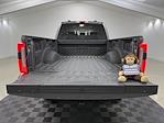 Used 2024 Ford F-350 Platinum Crew Cab for sale #T7663A - photo 7