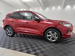 New 2024 Ford Escape ST-Line for sale #T7746 - photo 1