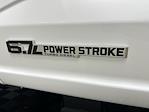 2025 Ford F-350 Crew Cab DRW 4WD Cab Chassis for sale #T8236 - photo 7
