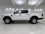 New 2025 Ford Ranger XL SuperCrew Cab for sale #T8461 - photo 8