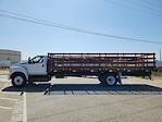 2026 Ford F-650 Regular Cab DRW 4x2 Cab Chassis for sale #FF03291 - photo 29
