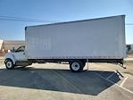 2025 Ford F-650 Regular Cab DRW 4x2, Morgan Truck Body Gold Star Box Truck for sale #FF05173 - photo 6