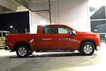 2024 Chevrolet Silverado 1500 Crew Cab RWD Pickup for sale #4623 - photo 6
