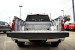 New 2025 Ford F-150 XLT SuperCrew Cab for sale #A75825 - photo 6