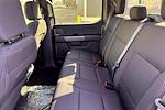 New 2025 Ford F-150 XLT SuperCrew Cab for sale #B60665 - photo 22
