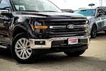 New 2025 Ford F-150 XLT SuperCrew Cab for sale #B84883 - photo 4
