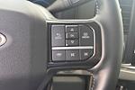 New 2026 Ford F-250 Platinum Crew Cab for sale #C37491 - photo 13