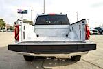 New 2025 Ford F-150 XLT SuperCrew Cab for sale #C40484 - photo 2