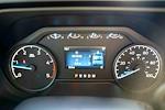 New 2025 Ford F-250 XL Crew Cab for sale #D19893 - photo 13
