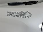 2025 Chevrolet Silverado 3500 Crew Cab 4WD Pickup for sale #P11201A2 - photo 34