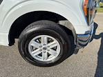 2023 Ford F-150 SuperCrew Cab 4x4 Pickup for sale #P11240 - photo 14