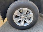 2025 Chevrolet Silverado 1500 Crew Cab 4WD Pickup for sale #P11252 - photo 3