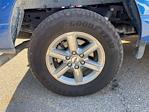 2024 Ford F-150 SuperCrew Cab 4x4 Pickup for sale #P11255 - photo 10