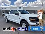 2025 Ford F-150 SuperCrew Cab 4x4 Pickup for sale #T25101 - photo 1