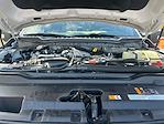 2024 Ford F-350 Crew Cab SRW 4WD Pickup for sale #13057A - photo 10