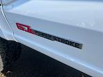 2024 Ford F-350 Crew Cab SRW 4WD Pickup for sale #13057A - photo 13