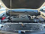 Used 2024 Chevrolet Colorado Z71 Crew Cab for sale #41833A - photo 29