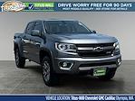 2019 Chevrolet Colorado Crew Cab 4x4 Pickup for sale #SP10415 - photo 1