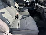 2024 Ford F-350 Regular Cab DRW RWD Landscape Dump for sale #242296 - photo 6