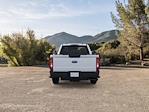 2024 Ford F-350 Regular Cab SRW RWD Pickup for sale #243150 - photo 5
