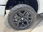 2025 Ford F-150 SuperCrew Cab 4WD Pickup for sale #250411 - photo 13