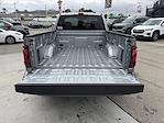 2025 Ford F-150 Regular Cab 4WD Pickup for sale #250751 - photo 9