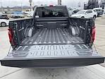 2025 Ford F-150 Regular Cab 4WD Pickup for sale #250752 - photo 9