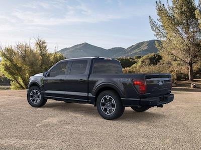 New 2025 Ford F-150 - photo 1