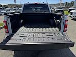 2023 Ford F-150 SuperCrew Cab RWD Pickup for sale #6750 - photo 10