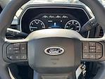 2023 Ford F-150 SuperCrew Cab RWD Pickup for sale #6750 - photo 20