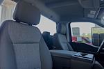 New 2024 Ford F-150 XL Regular Cab 4WD Pickup for sale #24F135 - photo 12