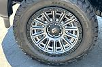 New 2024 Ford F-150 XL Regular Cab 4WD Pickup for sale #24F135 - photo 20
