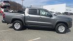 2024 Nissan Frontier Crew Cab 4x4 Pickup for sale #JJ10547 - photo 45