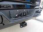 2024 Chevrolet Silverado 2500 Crew Cab 4WD Pickup for sale #8614P - photo 12