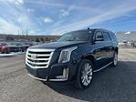 Used 2019 Cadillac Escalade Luxury for sale #R6875A - photo 1