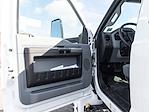 New 2024 Ford F-650 Base Crew Cab 4x2, Cab Chassis for sale #B240262 - photo 10