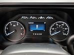 2024 Ford F-350 Regular Cab SRW 4x2 Pickup for sale #MB245018 - photo 17