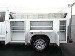 2024 Ford F-350 Regular Cab SRW 4x2 Pickup for sale #MB245402 - photo 21