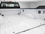 2024 Ford F-350 Regular Cab SRW 4x2 Pickup for sale #B245597 - photo 8